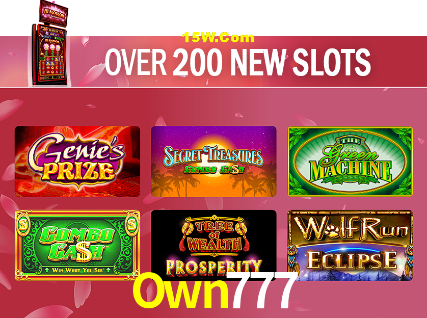 API Integration Own777