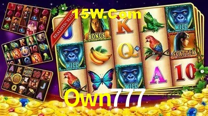 Own777 Salvador - Promo Stats